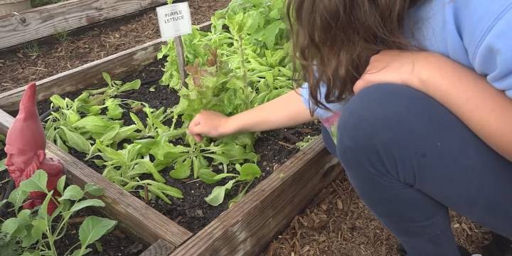 4-H Fall Festival combines fun activities and preparation for the future
