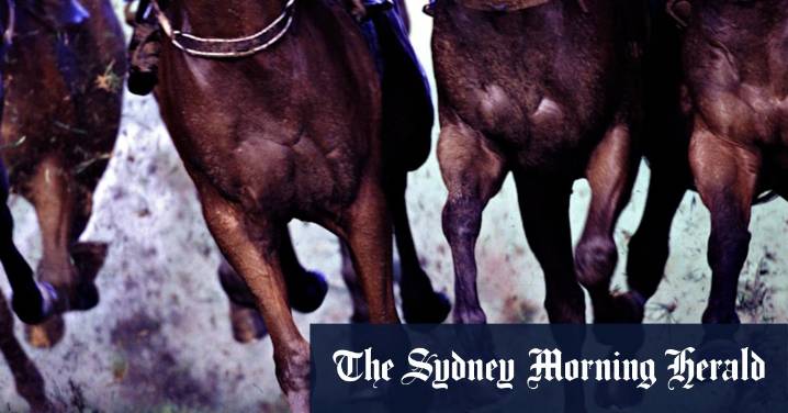 Race-by-race preview and tips for Moruya on Friday