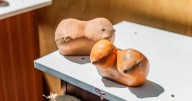 Iniciativa “PalpArte” estuvo presente en Ruidosa Fest: La prevención del cáncer de mama se entrelaza con el arte