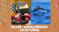 Avistamiento de delfines y karting, gratis con Ocio Alternativo 2025