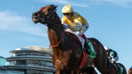 RACING 
                                          Comments
                                        
                                          Premium
                                        Sir De