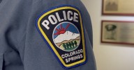 K9 in critical condition after police respond to domestic violence situation
