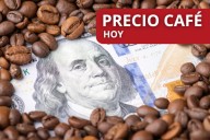¡Inició la semana bajando! Precio de la carga de café en Colombia para hoy 6 de octubre, según FNC