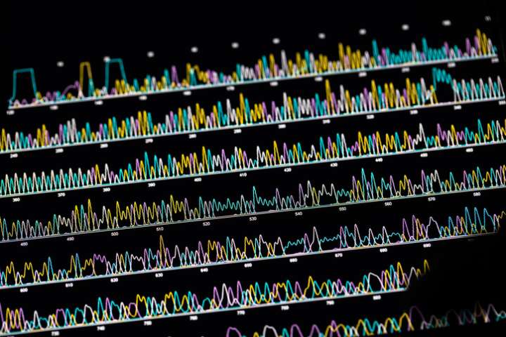 AI Model Digs Up Rare Somatic Variants for Precision Oncology Pipelines