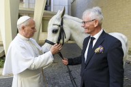 El papa León XIV recibe como regalo un caballo pura sangre árabe