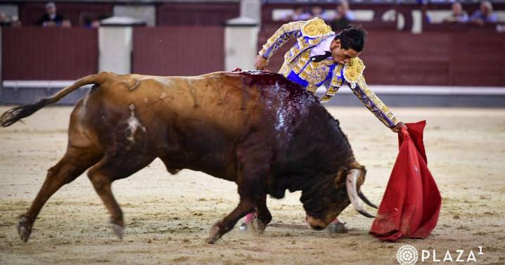 Dos encastados novillos de Fuente Ymbro