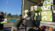 Gendarmería detuvo un camión bananero "narco" que trasladaba 444 kilos de cocaína al Mercado Central