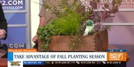 Take advantage of the fall planting season