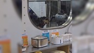 New Hampshire Dog Spots His Mom At The Groomers And His Reaction Says It All