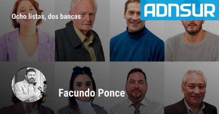 Elecciones 2025: quiénes son y qué proponen los candidatos a diputados nacionales por Chubut