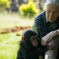 Jane Goodall's final wish: blast Trump, Musk and Putin to space
