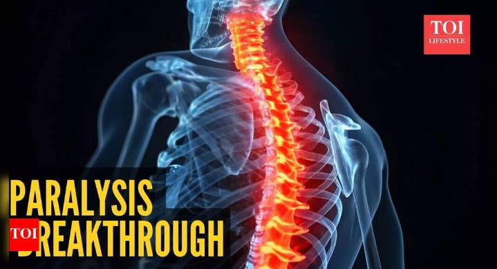 Cure for paralysis? Scientists find an old drug that could regenerate life in the spinal cord