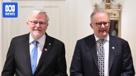 Anthony Albanese defends Kevin Rudd after criticism from Donald Trump