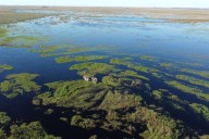 BELLEZA! Esteros del Iberá elegida Maravilla de América Latina 2025