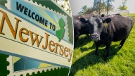 NJ family wins fight to save 175-year farm from eminent domain seizure