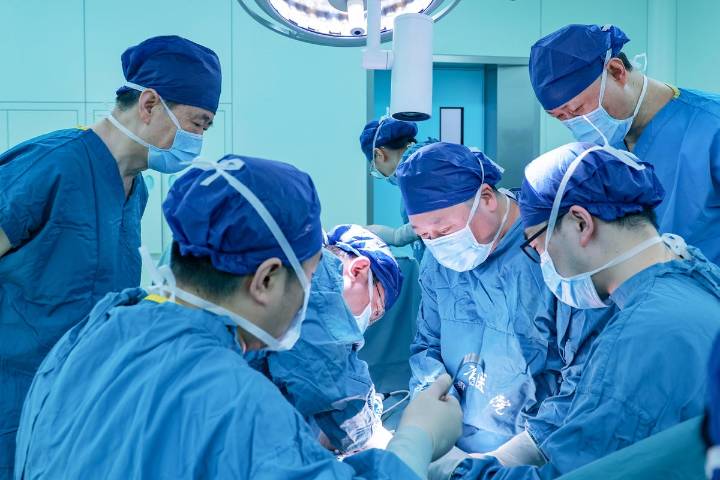 Part of a Pig Liver was Transplanted into a Human