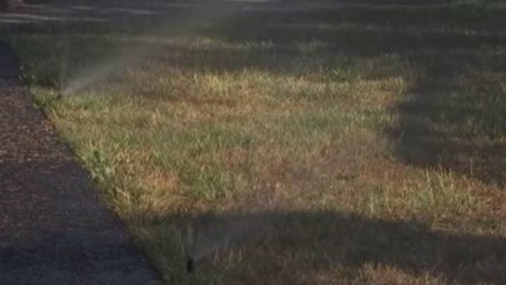 Waller County burn ban in effect: What residents should know