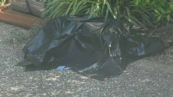 Kentucky Woman Sees Moving Plastic Bag And Is Shocked By What She Finds Inside