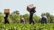Pactan productores agrícolas cita con funcionarios federales luego del paro nacional