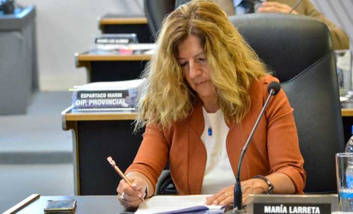 Arde la interna: el vernismo ahora apunta contra Marín en la Legislatura