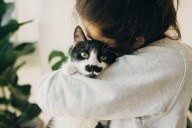 Mother-in-Law Compares Woman's Cat to 'Termites and Mold,' Demands She Rehome Pet