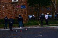 Man shot in the head and critically injured in Brooklyn, police say