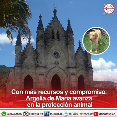 Con más recursos y compromiso, Argelia de María avanza en protección animal