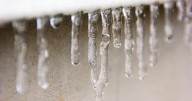 Bundle up! Colorado sees first widespread freeze and frost advisory