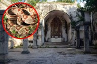 Mopila: el pueblo fantasma de Yucatán donde abundan las serpientes
