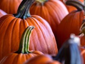 Trunk or Treat event at First Presbyterian Church of Elkhart Oct. 26
