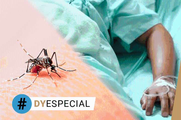 Dengue en Yucatán, al alza: un enfermo consulta cada hora y media