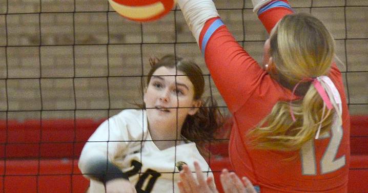 Sycamore tops Ottawa, stays in I-8 hunt – Shaw Local