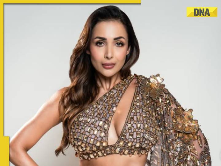 Malaika Arora Turns 52: A peek inside her net worth, lavish 4BHK apartment, luxu
