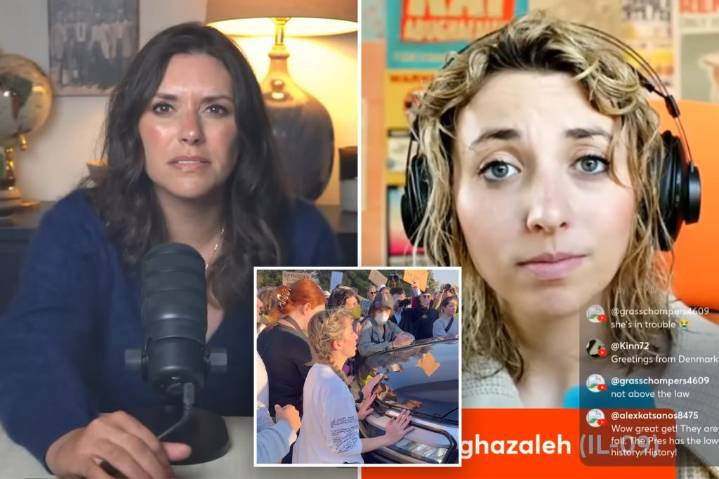 Illinois congressional candidate Kat Abughazaleh abruptly ends interview when pressed on federal indictment