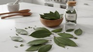 Ni en la alacena ni en la mesada: cómo se deben conservar las hojas de laurel para que no pierdan su aroma