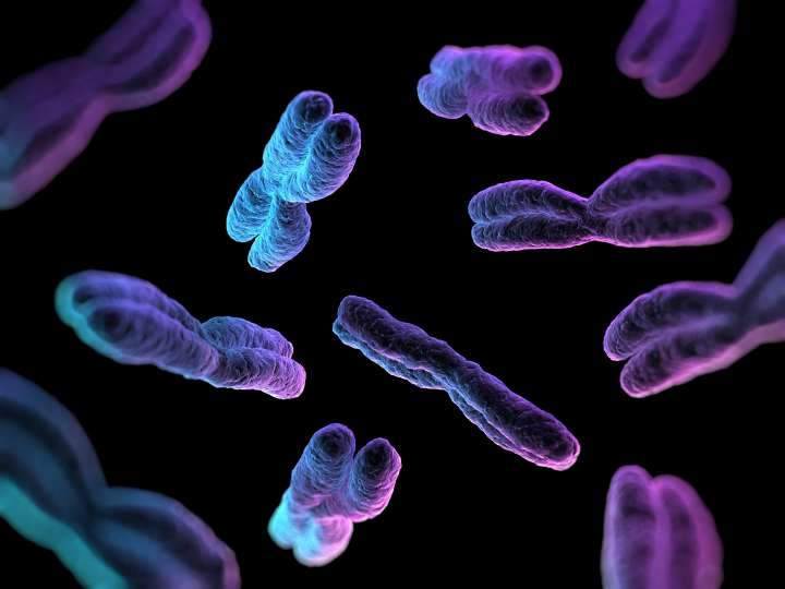 Like MAGIC: New AI Tool Reveals How Chromosomal Errors Arise, Offers Clues to Cancer’s Origins