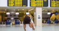 La Justicia europea equipara las mascota al equipaje en los aviones