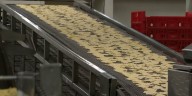 North Las Vegas tortilla company grows from garage startup to Strip supplier