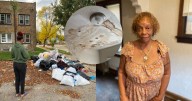 Milwaukee tenant living in 'nightmare' conditions as landlord files for bankruptcy