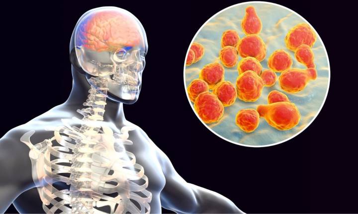 Kerala partners with ICMR-NIE to study rising Amoebic Meningoencephalitis cases