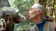 Scientists, stars, statespeople mourn Jane Goodall as one of world's 'last great protectors'