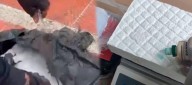 En bolsa que flotaba en playas de Santa Verónica hallan 25 kilos de clorhidrato de cocaína
