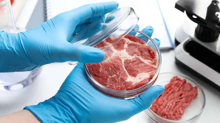 Estos científicos quieren enseñarte a hacer carne cultivada de laboratorio en tu propia casa