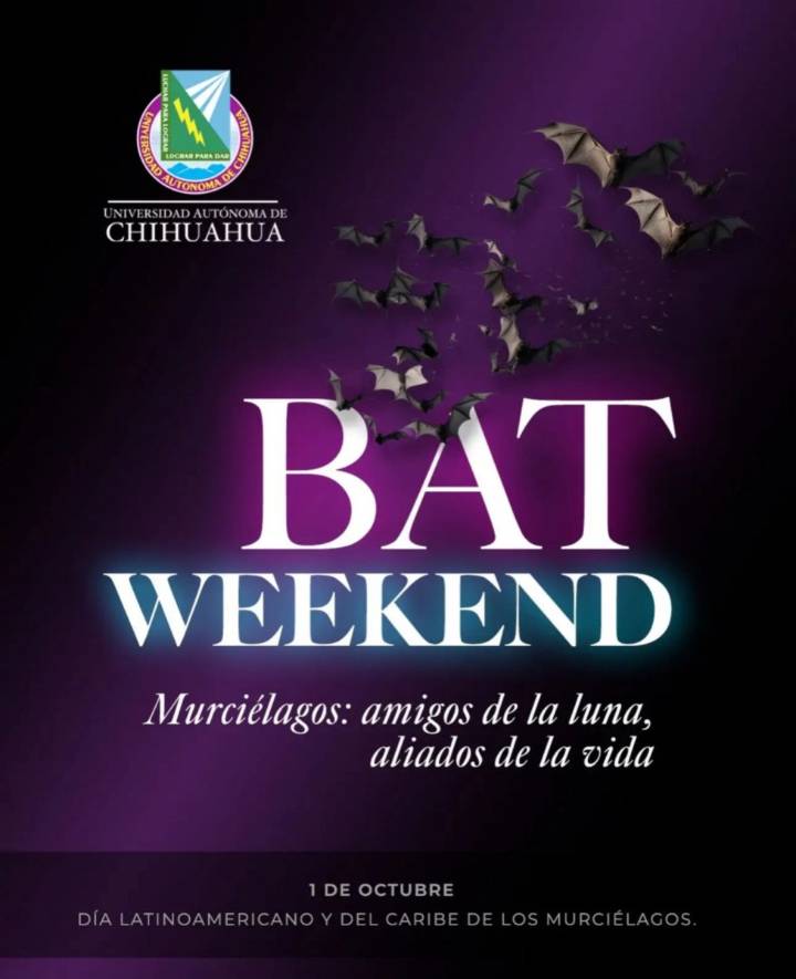 Impulsa Delicias protección de murciélagos en encuentro ambiental