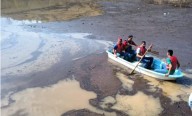 Carece Guanajuato de Comité de Sanidad Acuícola