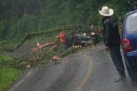 Árbol cae sobre camioneta y bloquea carretera de Acaxochitlán