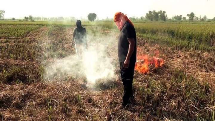 ‘AAP forcing farmers to burn stubble in Punjab’: Delhi minister Manjinder Sirsa on AQI spike in national capital