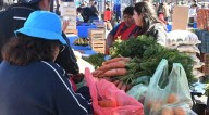 Hoy habrá una nueva edición de "El Mercado en tu Barrio" en la UNSA