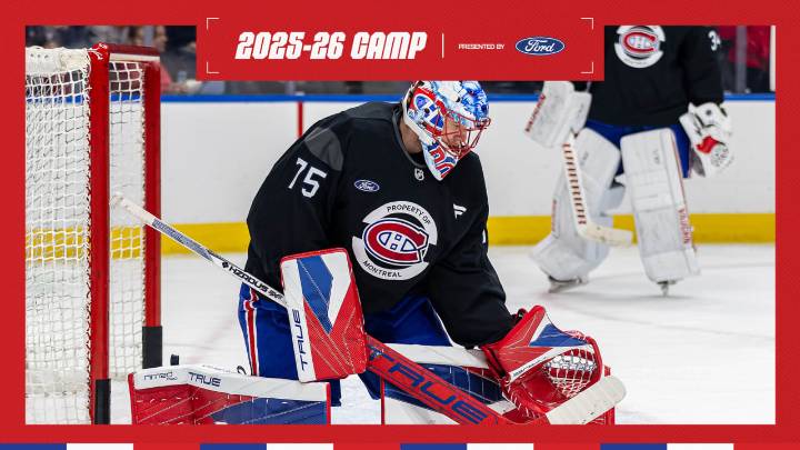 Lines and defense pairings at training camp
