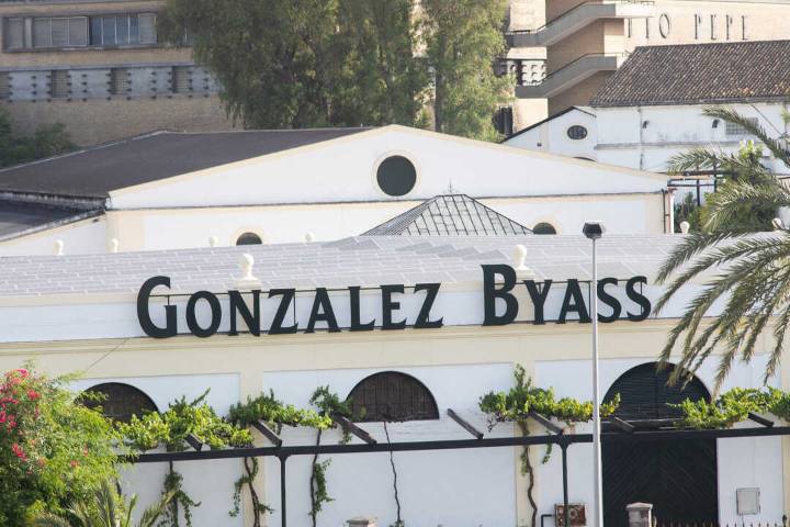 González Byass llega a un acuerdo para aplicar un ERE en dos de sus sociedades